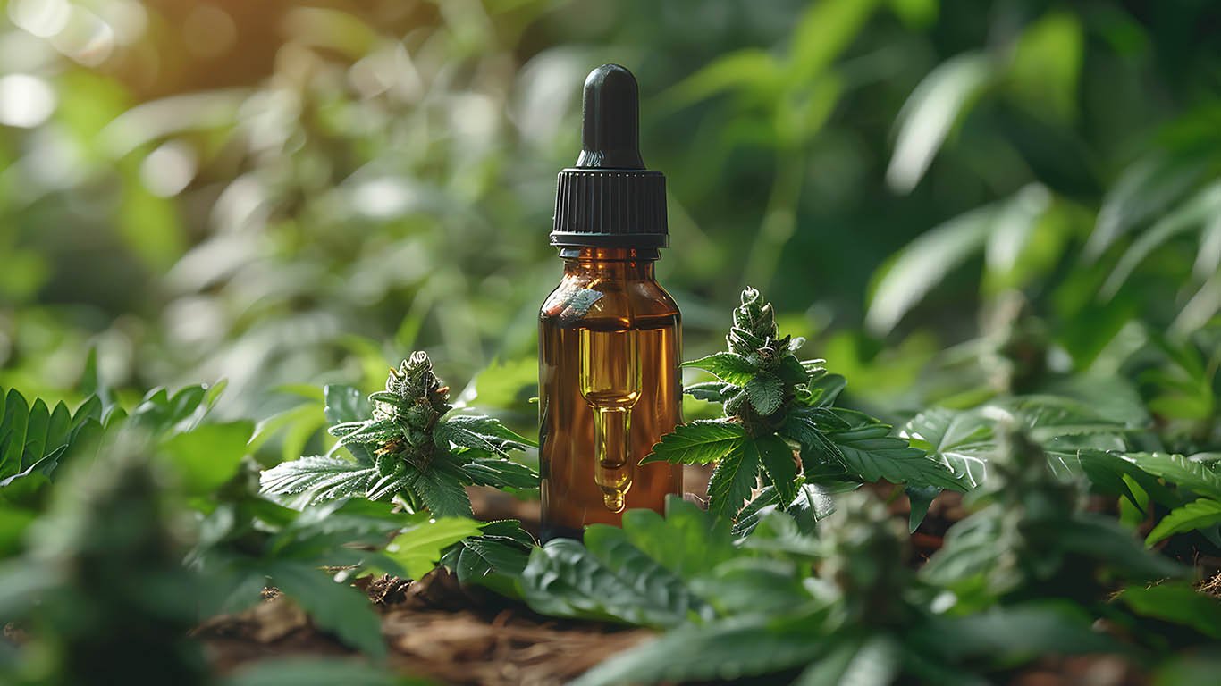 Dolor Crónico y CBD